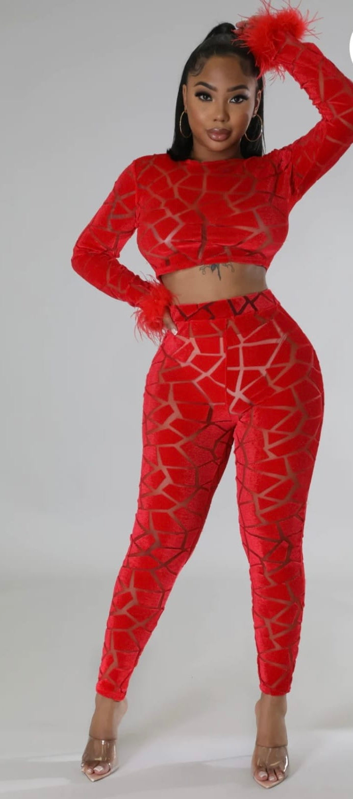 SHEER RED SEXY 2PCS SET