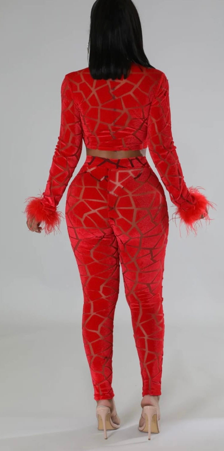 SHEER RED SEXY 2PCS SET