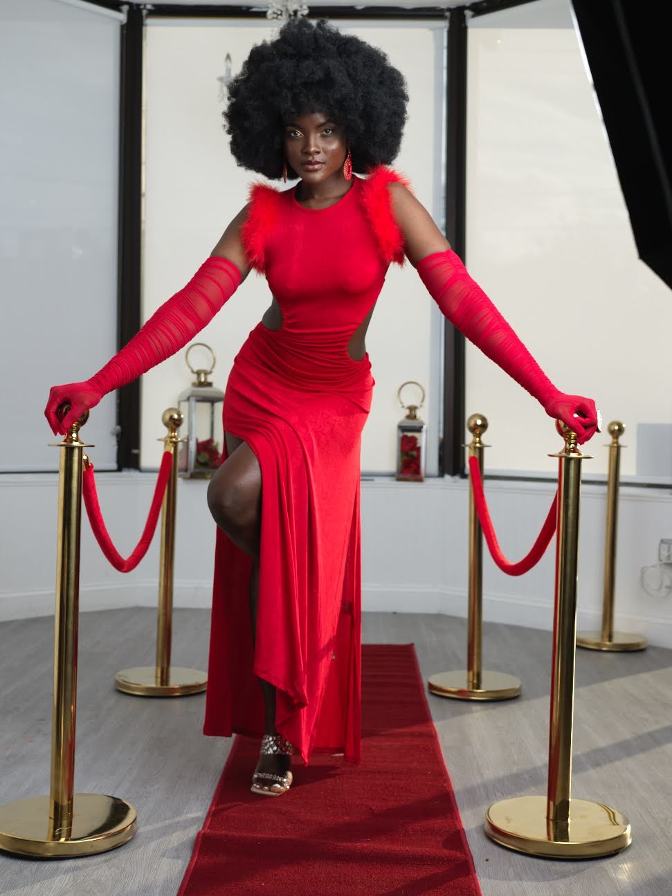 Lil RED Riding Dress